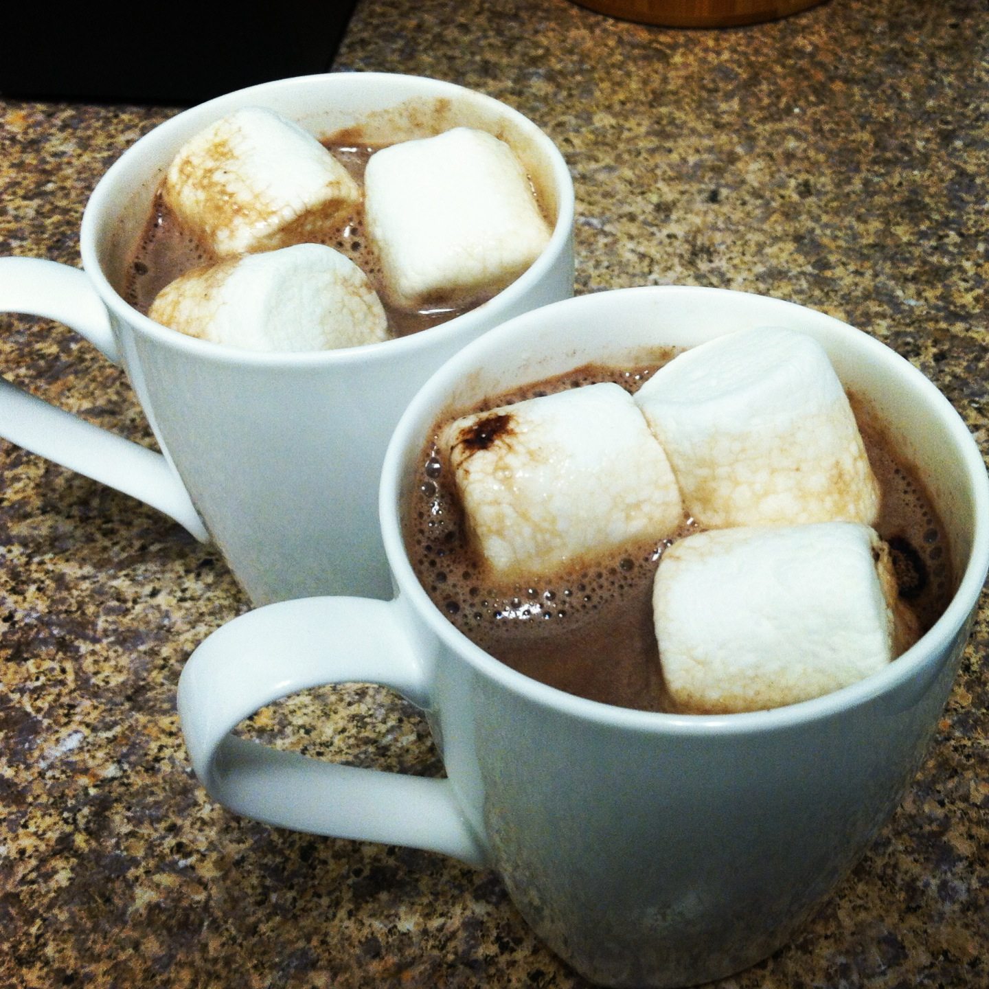 Coconut Hot Cocoa Mix Wholesomely Fit